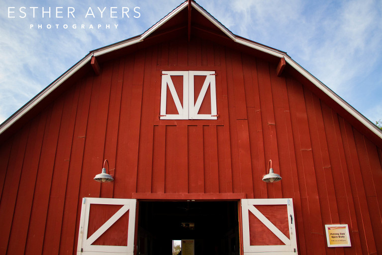 red barn at zoo - atlanta photographer