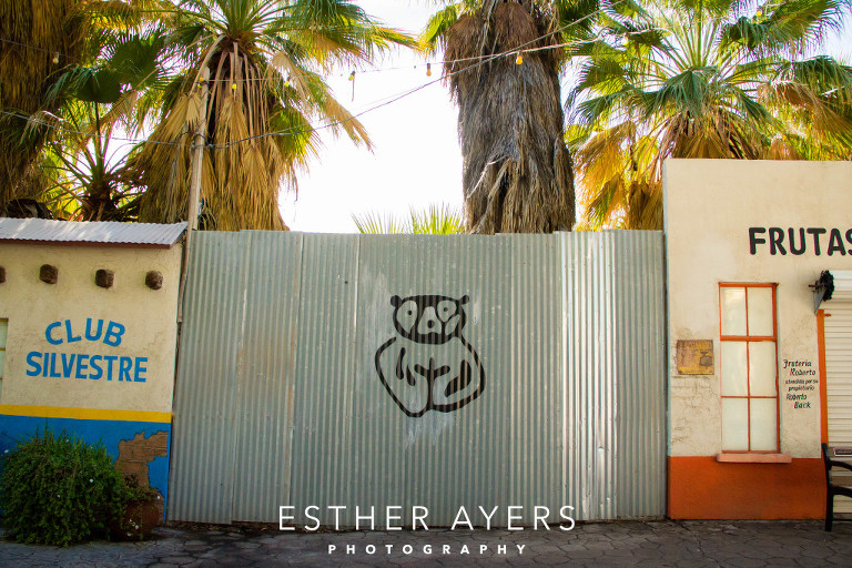 sightseeing travel photograph - atlanta portrait photographer