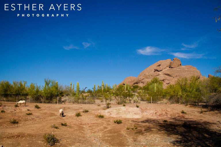 desert landscape with rocks - atlanta photographer 