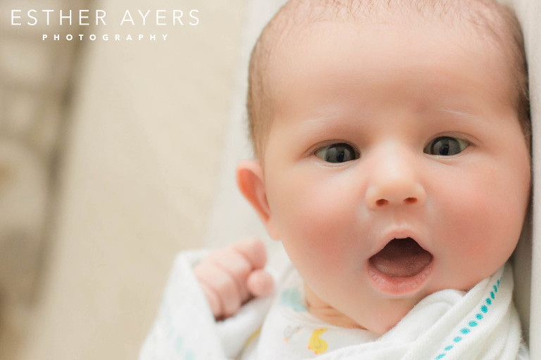 baby girl bundle of joy - newborn photos (atlanta portrait photographer)