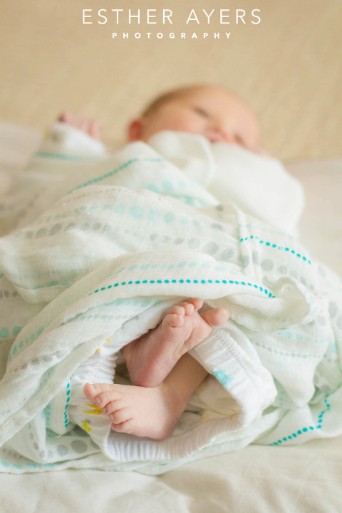 baby girl toes - newborn photos (atlanta portrait photographer)