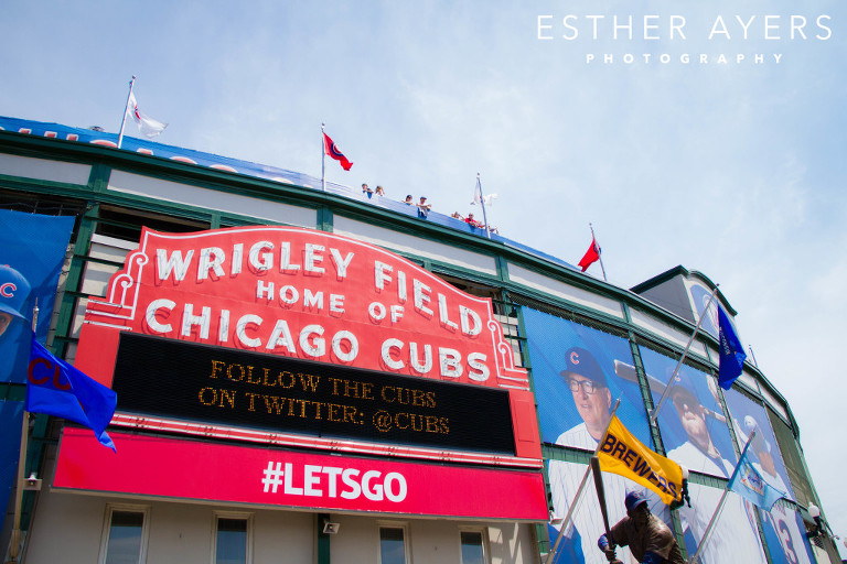 wrigley field - baseball stadium - chicago