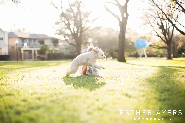 atlanta family portrait photographer