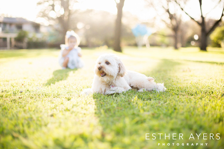 pregnancy announcement photos - atlanta family photographer