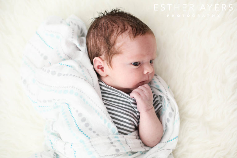 newborn baby boy wrapped in a blanket - esther ayers photography