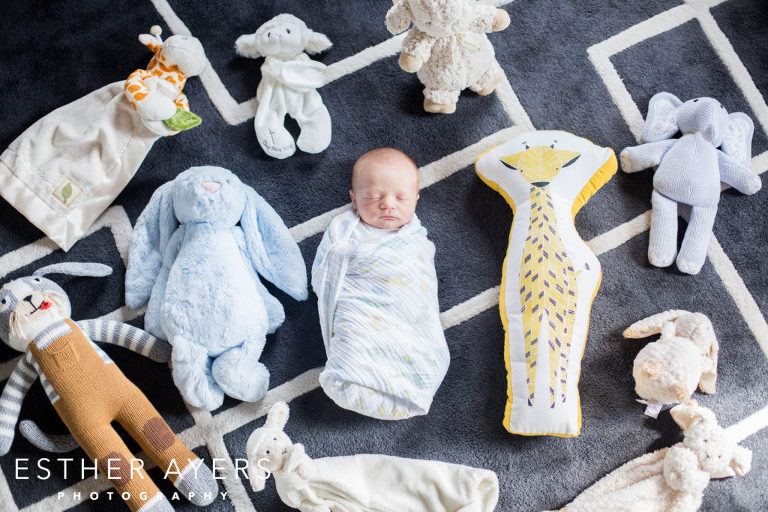 Newborn Baby Boy with Stuffed Animals