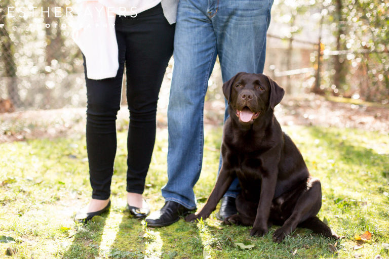 first time parents with dog and baby