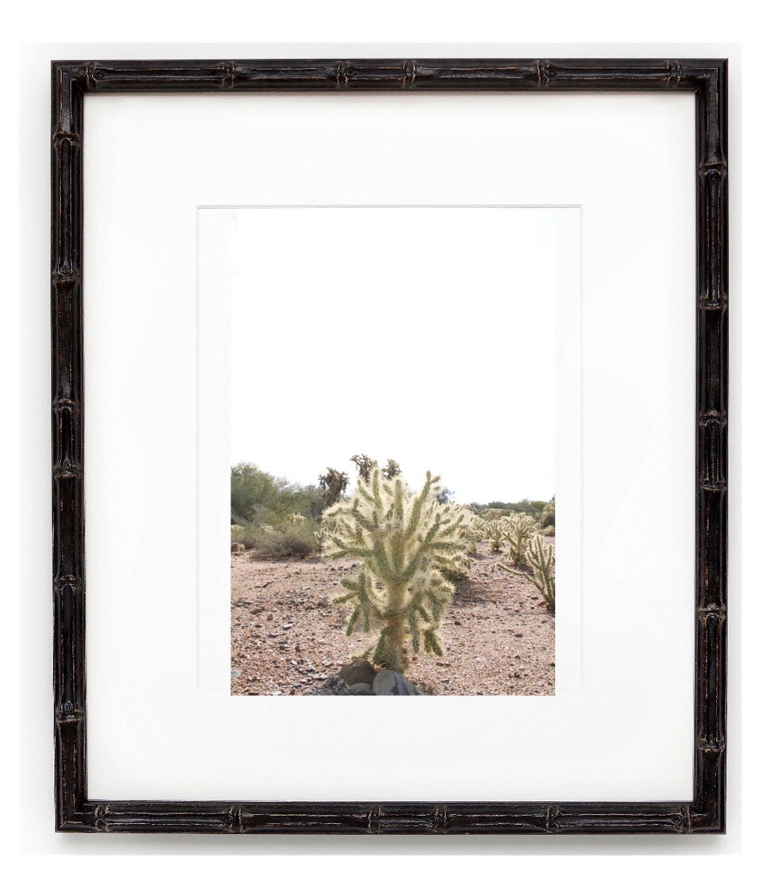 Esther Ayers Photography Framed Cacti Print